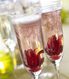 Champagne Sip and Sparkle Holiday Cocktail Kit